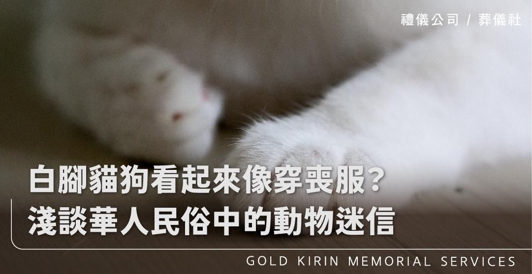 白腳貓狗看起來像穿喪服?淺談華人民俗中的動物迷信_上方-778x402.jpg