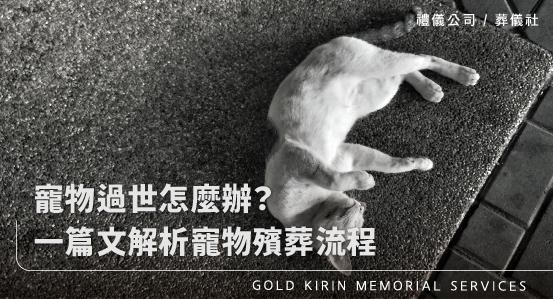寵物過世怎麼辦？一篇文解析寵物殯葬流程
