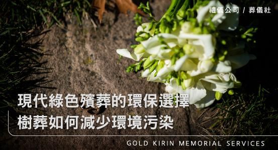 現代綠色殯葬的環保選擇,樹葬如何減少環境污染