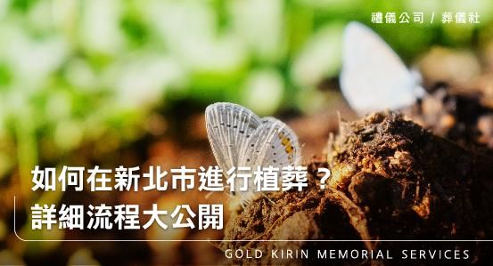 如何在新北市進行植葬？詳細流程與指引