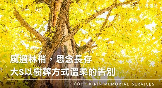 風過林梢,思念長存,大S以樹葬方式溫柔的告別