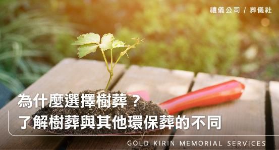 為什麼選擇樹葬？了解樹葬與其他環保葬的不同